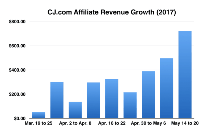 Revenue affiliate increase doubled steps months