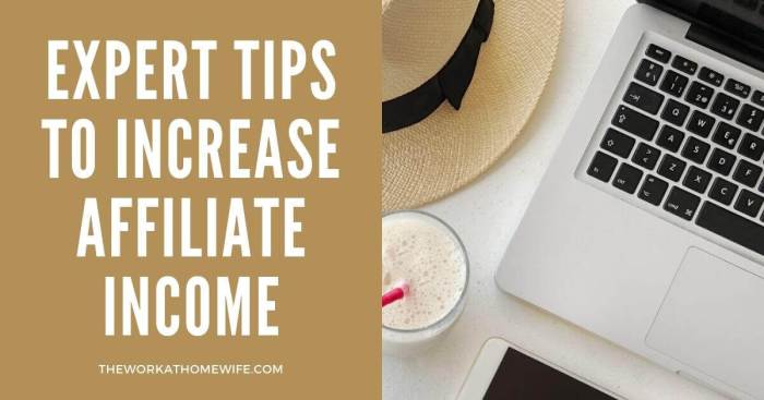 Affiliate income boost