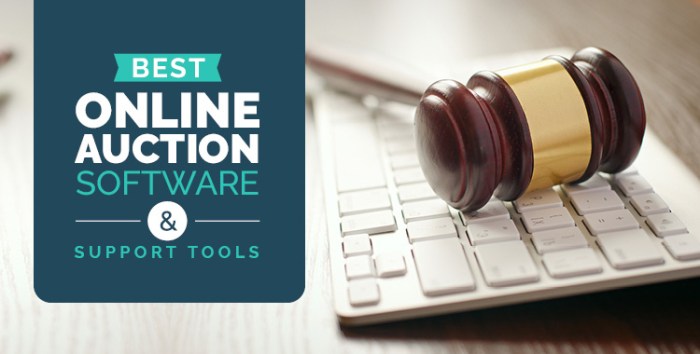 Online auction software solutions